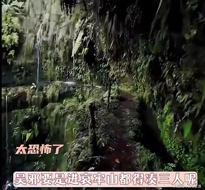 山取博主探险哀牢山！揭开神秘一幕！爱游戏爱体育比盗墓日记更惊险刺激(图2)